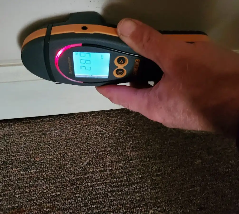 Moisture detection at baseboard during Mold Inspection & Testing in Caernarvon